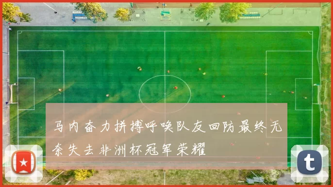 马内奋力拼搏呼唤队友回防最终无奈失去非洲杯冠军荣耀